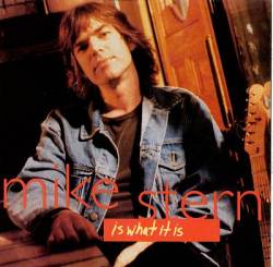 Mike Stern : Is What it Is